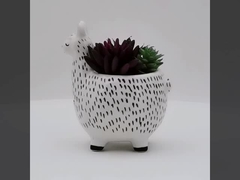 10 Inch Ceramic Flower Pot Planter Animal Flower Pots Succulent Plant Pot Plant Propagation