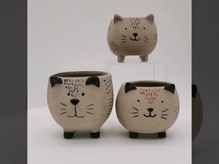Ceramic Succulent Pot