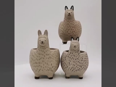 Ceramic Succulent Pot