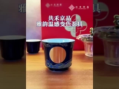 Food Safe Color Changing Ceramic Design Tea Pots Coffee / Tea Sets Design Coffee Tea Brewing Pots