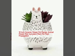 10 Inch Ceramic Flower Pot Planter Animal Flower Pots Succulent Plant Pot Plant Propagation